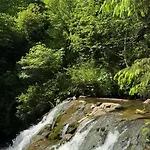 Karinka *