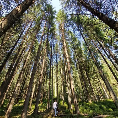 Karinka Сasa de vacaciones Bukovel