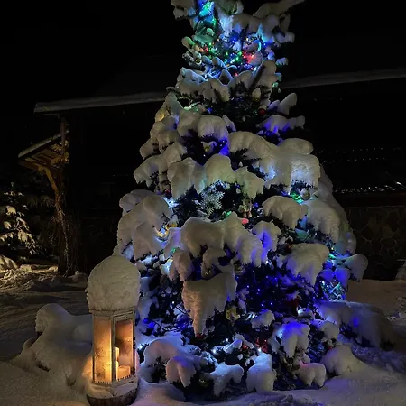 Karinka 펜션 부코벨