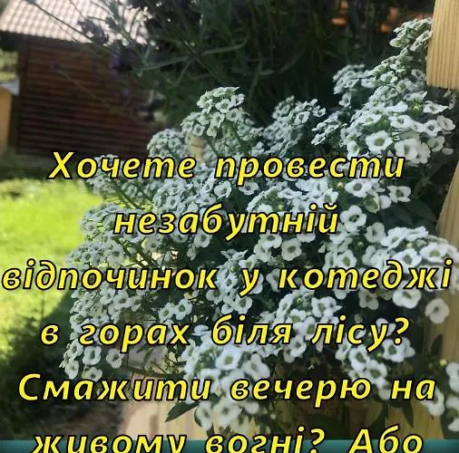 Karinka Dom wakacyjny *