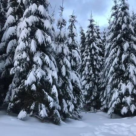 Karinka * Bukovel