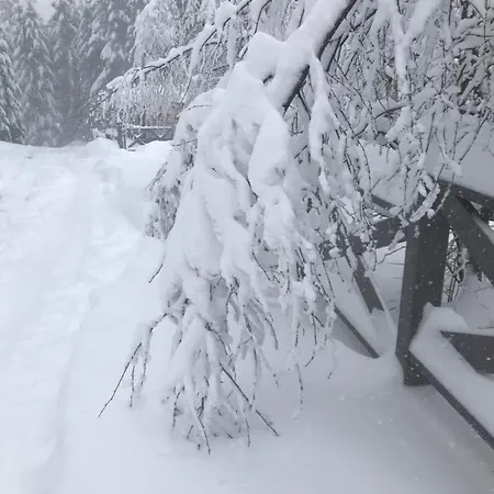 Hébergement de vacances Karinka *