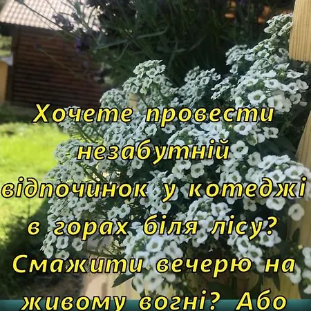 Karinka Hébergement de vacances *